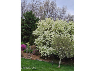 Perfectly situated in the desirable Fairfield Glade retirement on Druid Hills Golf Club in Tennessee - for sale on GolfHomes.com, golf home, golf lot