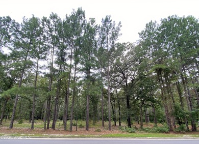 A rare opportunity to own one of the largest and most private on Forest Creek Golf Club  in North Carolina - for sale on GolfHomes.com, golf home, golf lot