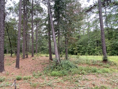 A rare opportunity to own one of the largest and most private on Forest Creek Golf Club  in North Carolina - for sale on GolfHomes.com, golf home, golf lot