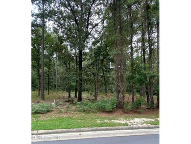 A rare opportunity to own one of the largest and most private on Forest Creek Golf Club  in North Carolina - for sale on GolfHomes.com, golf home, golf lot