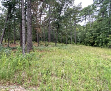 A rare opportunity to own one of the largest and most private on Forest Creek Golf Club  in North Carolina - for sale on GolfHomes.com, golf home, golf lot