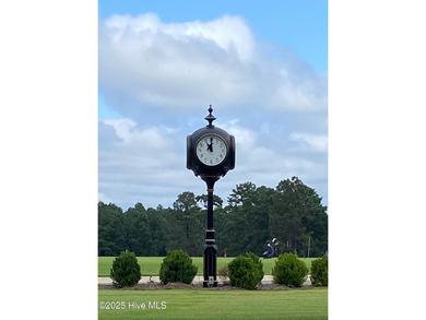 A rare opportunity to own one of the largest and most private on Forest Creek Golf Club  in North Carolina - for sale on GolfHomes.com, golf home, golf lot