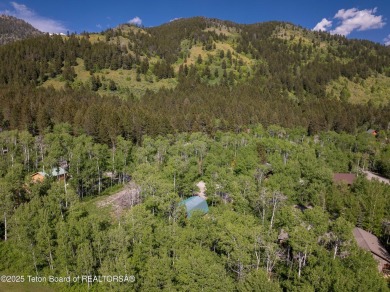 Charming 5-bedroom home located on a peaceful, tree-lined street on Cedar Creek Golf Course in Wyoming - for sale on GolfHomes.com, golf home, golf lot