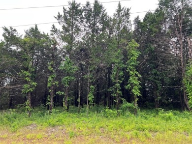 Prime location! Build your custom home just a quick 2-minute on Rock Creek Golf Club in Texas - for sale on GolfHomes.com, golf home, golf lot