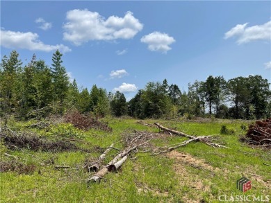 Surveyed at 95.25 acres with almost 836 ft of paved road on Uncle Remus Golf Course in Georgia - for sale on GolfHomes.com, golf home, golf lot