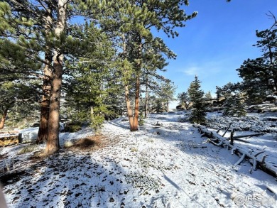 5k concession at Closing if closed by 5/31/25. Lot 90 is a well on Fox Acres Country Club in Colorado - for sale on GolfHomes.com, golf home, golf lot