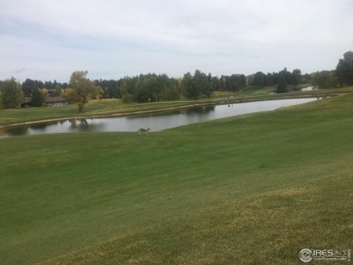 5k concession at Closing if closed by 5/31/25. Lot 90 is a well on Fox Acres Country Club in Colorado - for sale on GolfHomes.com, golf home, golf lot