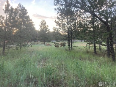 5k concession at Closing if closed by 5/31/25. Lot 90 is a well on Fox Acres Country Club in Colorado - for sale on GolfHomes.com, golf home, golf lot