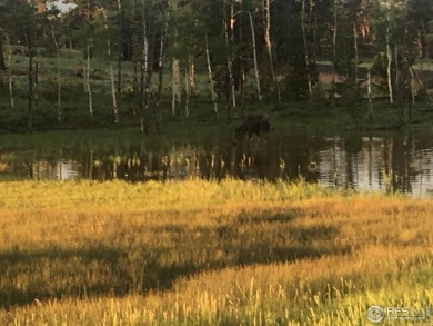 5k concession at Closing if closed by 5/31/25. Lot 90 is a well on Fox Acres Country Club in Colorado - for sale on GolfHomes.com, golf home, golf lot