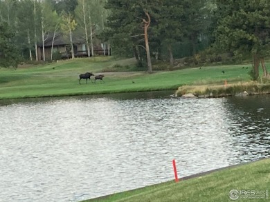 5k concession at Closing if closed by 5/31/25. Lot 90 is a well on Fox Acres Country Club in Colorado - for sale on GolfHomes.com, golf home, golf lot