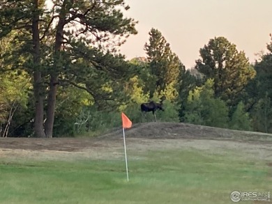 5k concession at Closing if closed by 5/31/25. Lot 90 is a well on Fox Acres Country Club in Colorado - for sale on GolfHomes.com, golf home, golf lot