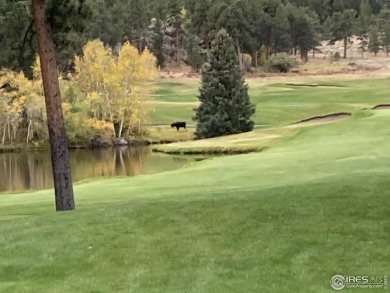 5k concession at Closing if closed by 5/31/25. Lot 90 is a well on Fox Acres Country Club in Colorado - for sale on GolfHomes.com, golf home, golf lot