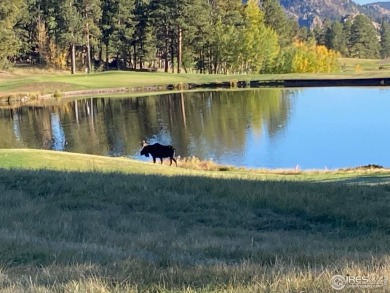 5k concession at Closing if closed by 5/31/25. Lot 90 is a well on Fox Acres Country Club in Colorado - for sale on GolfHomes.com, golf home, golf lot