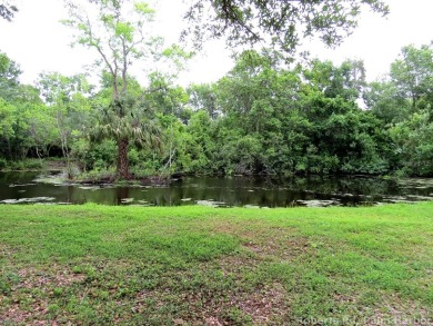 Hidden Gem Just listed, 2 lots for 1 great price. Property on Innisbrook Resort and Golf Club in Florida - for sale on GolfHomes.com, golf home, golf lot
