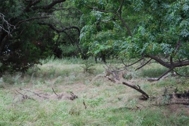 Property is located with another gated community within White on White Bluff Resort - Old Course in Texas - for sale on GolfHomes.com, golf home, golf lot