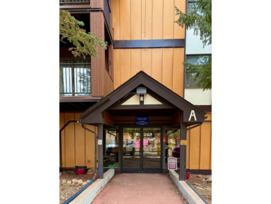 JUST LISTED! Stylish 2 bedroom/2 bath condo with stunning modern on Angel Fire Resort Country Club in New Mexico - for sale on GolfHomes.com, golf home, golf lot