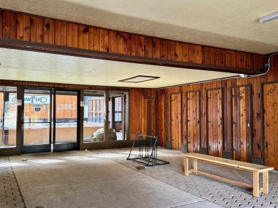 JUST LISTED! Stylish 2 bedroom/2 bath condo with stunning modern on Angel Fire Resort Country Club in New Mexico - for sale on GolfHomes.com, golf home, golf lot