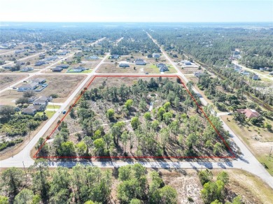 Discover Your Slice of Paradise in Lehigh Acres! Nestled in a on Mirror Lakes Golf Club in Florida - for sale on GolfHomes.com, golf home, golf lot