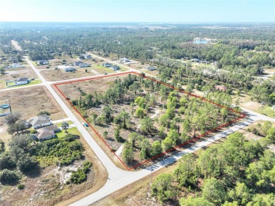 Discover Your Slice of Paradise in Lehigh Acres! Nestled in a on Mirror Lakes Golf Club in Florida - for sale on GolfHomes.com, golf home, golf lot