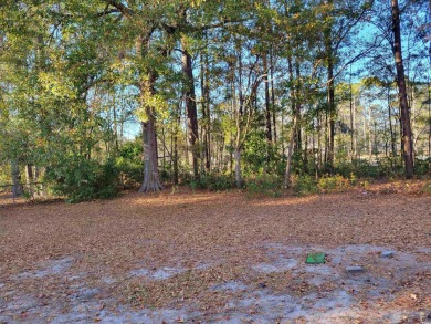 GREAT investment property with 4 leases in place and multiple on The Hackler Course at Coastal Carolina University in South Carolina - for sale on GolfHomes.com, golf home, golf lot