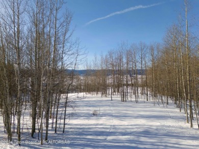 Very pretty, quiet treed lot in the Northern section of on Star Valley RV Golf Course in Wyoming - for sale on GolfHomes.com, golf home, golf lot