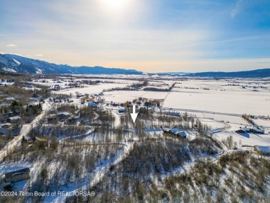 Very pretty, quiet treed lot in the Northern section of on Star Valley RV Golf Course in Wyoming - for sale on GolfHomes.com, golf home, golf lot