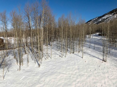 Very pretty, quiet treed lot in the Northern section of on Star Valley RV Golf Course in Wyoming - for sale on GolfHomes.com, golf home, golf lot