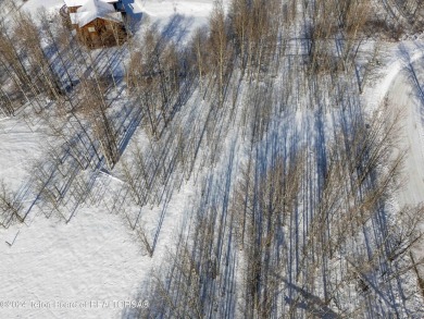 Very pretty, quiet treed lot in the Northern section of on Star Valley RV Golf Course in Wyoming - for sale on GolfHomes.com, golf home, golf lot