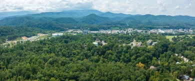 Presenting a once in a lifetime development opportunity in the on Gatlinburg Golf Course in Tennessee - for sale on GolfHomes.com, golf home, golf lot