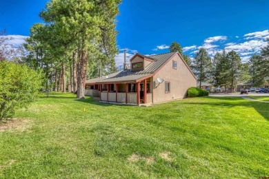 Mike Heraty, ENGEL & VOLKERS Pagosa Springs, C: , Mike,  : This on Pagosa Springs Golf Club in Colorado - for sale on GolfHomes.com, golf home, golf lot
