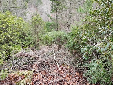 This lot is located in the beautiful Buckhorn subdivision.  If on White Path Golf Club in Georgia - for sale on GolfHomes.com, golf home, golf lot