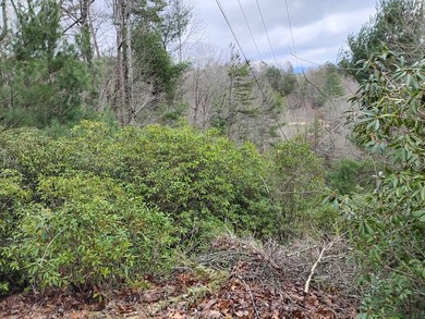 This lot is located in the beautiful Buckhorn subdivision.  If on White Path Golf Club in Georgia - for sale on GolfHomes.com, golf home, golf lot