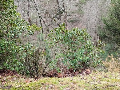 This lot is located in the beautiful Buckhorn subdivision.  If on White Path Golf Club in Georgia - for sale on GolfHomes.com, golf home, golf lot