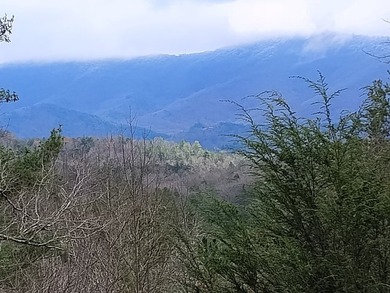 This lot is located in the beautiful Buckhorn subdivision.  If on White Path Golf Club in Georgia - for sale on GolfHomes.com, golf home, golf lot