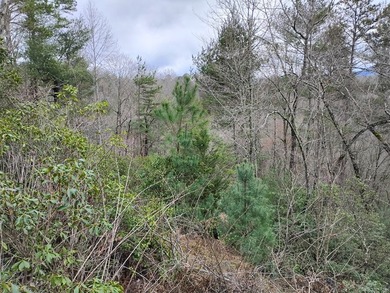 This lot is located in the beautiful Buckhorn subdivision.  If on White Path Golf Club in Georgia - for sale on GolfHomes.com, golf home, golf lot