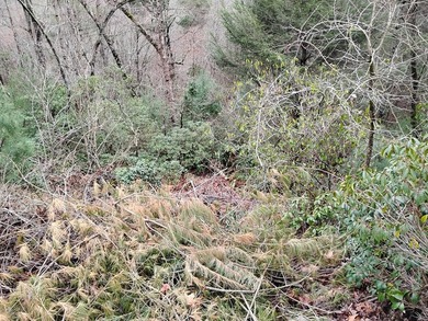 This lot is located in the beautiful Buckhorn subdivision.  If on White Path Golf Club in Georgia - for sale on GolfHomes.com, golf home, golf lot