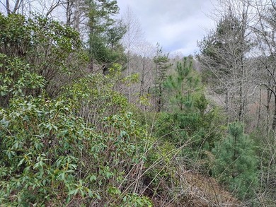 This lot is located in the beautiful Buckhorn subdivision.  If on White Path Golf Club in Georgia - for sale on GolfHomes.com, golf home, golf lot