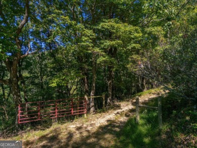Enjoy breathtaking mountain views on this fantastic lot in the on Bent Tree Golf Course in Georgia - for sale on GolfHomes.com, golf home, golf lot