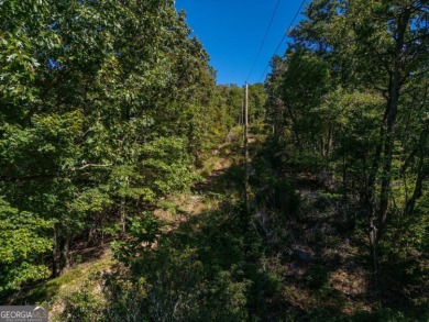 Enjoy breathtaking mountain views on this fantastic lot in the on Bent Tree Golf Course in Georgia - for sale on GolfHomes.com, golf home, golf lot