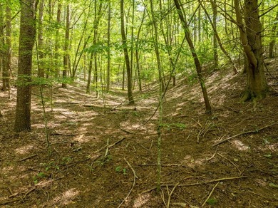 Build Your Dream Home in Buckhorn Estates! This beautiful 0 on White Path Golf Club in Georgia - for sale on GolfHomes.com, golf home, golf lot