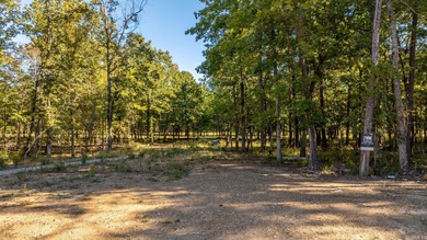 Discover the Last Exclusive Lots on the Stunning Golf Course at on Chenal Country Club - Bear Den Mountain in Arkansas - for sale on GolfHomes.com, golf home, golf lot