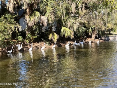 Live the Florida lifestyle surrounded by nature and wildlife! on TPC at Sawgrass in Florida - for sale on GolfHomes.com, golf home, golf lot