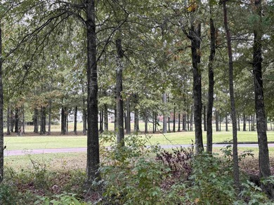 Discover the Last Exclusive Lots on the Stunning Golf Course at on Chenal Country Club - Bear Den Mountain in Arkansas - for sale on GolfHomes.com, golf home, golf lot