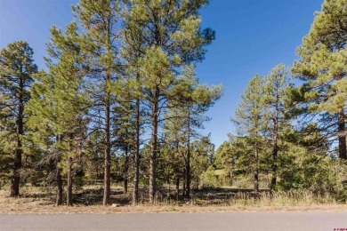 Alysha Ranson, Galles Properties, C: , alysha,  : Welcome to 79 on Pagosa Springs Golf Club in Colorado - for sale on GolfHomes.com, golf home, golf lot