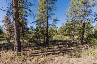 Alysha Ranson, Galles Properties, C: , alysha,  : Welcome to 79 on Pagosa Springs Golf Club in Colorado - for sale on GolfHomes.com, golf home, golf lot