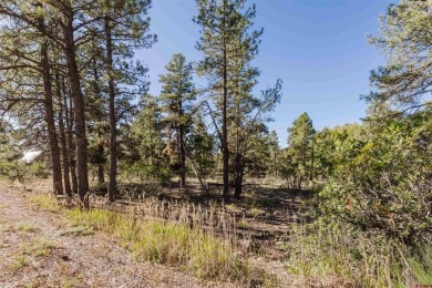 Alysha Ranson, Galles Properties, C: , alysha,  : Welcome to 79 on Pagosa Springs Golf Club in Colorado - for sale on GolfHomes.com, golf home, golf lot