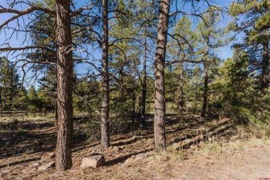 Alysha Ranson, Galles Properties, C: , alysha,  : Welcome to 79 on Pagosa Springs Golf Club in Colorado - for sale on GolfHomes.com, golf home, golf lot