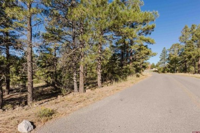 Alysha Ranson, Galles Properties, C: , alysha,  : Welcome to 79 on Pagosa Springs Golf Club in Colorado - for sale on GolfHomes.com, golf home, golf lot