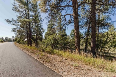 Alysha Ranson, Galles Properties, C: , alysha,  : Welcome to 79 on Pagosa Springs Golf Club in Colorado - for sale on GolfHomes.com, golf home, golf lot