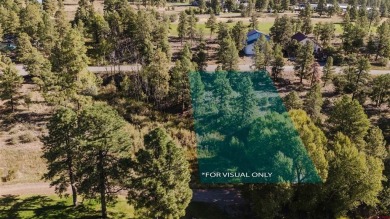 Alysha Ranson, Galles Properties, C: , alysha,  : Welcome to 79 on Pagosa Springs Golf Club in Colorado - for sale on GolfHomes.com, golf home, golf lot